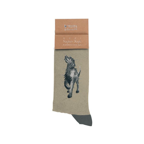 Labrador Men’s Sock!  Walkies!