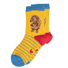 Lovable Dachshund Children’s Socks!