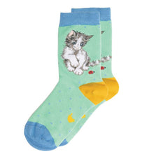 Ladybird Cat Children’s Socks!