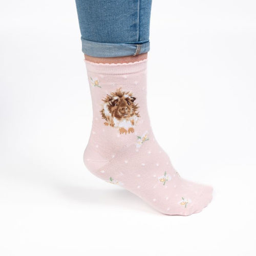 Grinny Pig Socks!